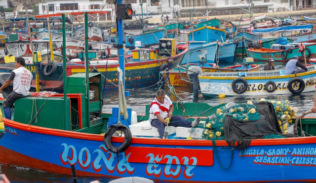 Produce busca formalizar a cerca de 3.500 embarcaciones pesqueras artesanales