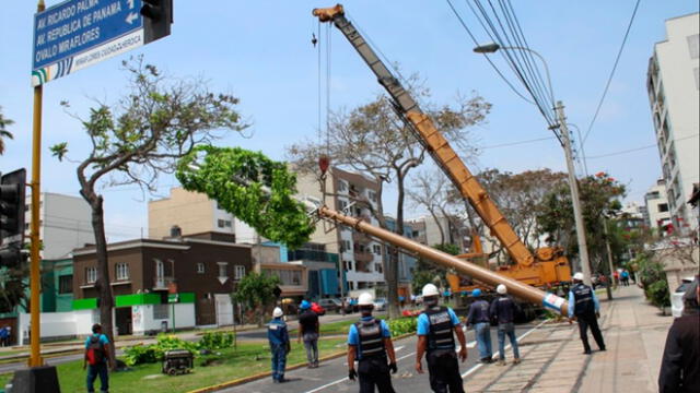 Desmontan antena instalada de forma ilegal. Créditos: Municipalidad de Miraflores.