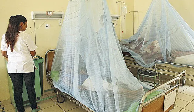 Nueve distritos de Piura libres del mortal dengue