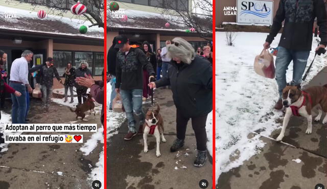 La perrita fue llamada Bonita y se despidió de todos los trabajadores que la cuidaron. Foto: Animalizar/captura Instagram