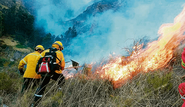No se detiene. Los incendios forestales vienen destruyendo pastizales y sembríos de pinos.