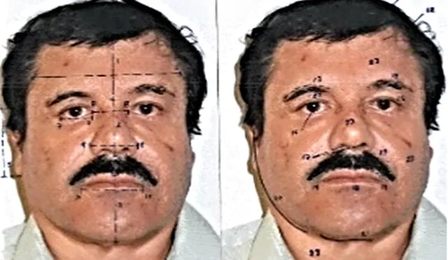 Mediciones faciales en un retrato del narcomexicano. Foto: Fiscal General de México (PGR).