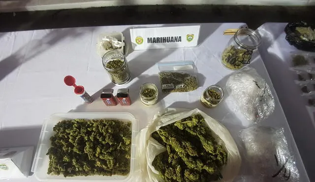 Hallan marihuana sembrada en parque de Surco / Creditos: Grace Mora / URPI-GLR