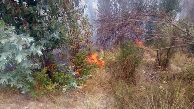Incendian 10 hectáreas de bosque en La Libertad