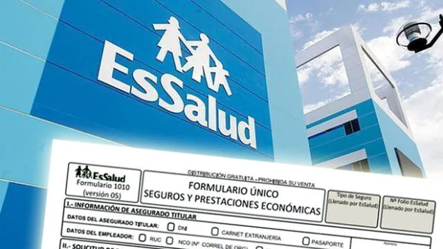 Essalud formulario 1010