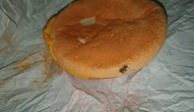 Hallan una araña horneada en una hamburguesa de queso de McDonald’s 