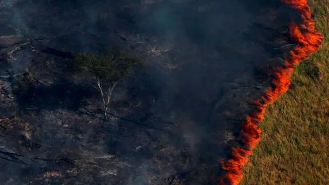 Miles de hectáreas de selva quedaron reducidas a cenizas por el incendio que lleva 17 días. Foto: AFP