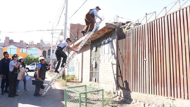 Arequipa: Rescatan a 21 canes que vivían hacinados en una vivienda