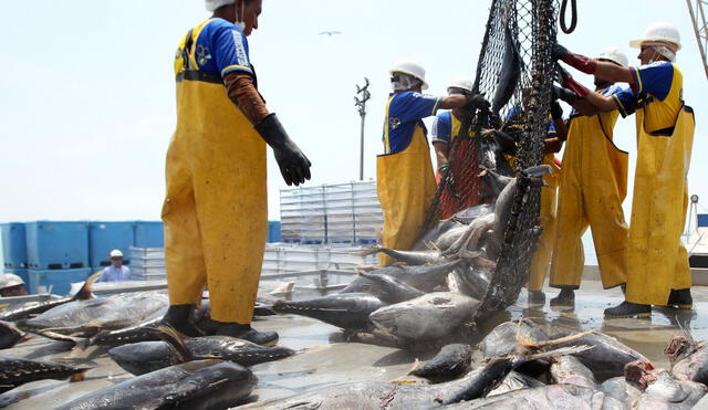 SNI: Industria pesquera exportadora pierde hasta US$ 10 millones al mes por sobrerregulación