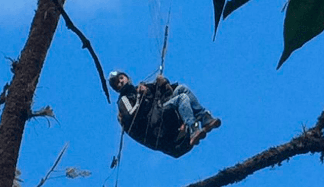 Colombia: parapentista se salvó de caer a precipicio al quedar atrapado en árbol [VIDEO]