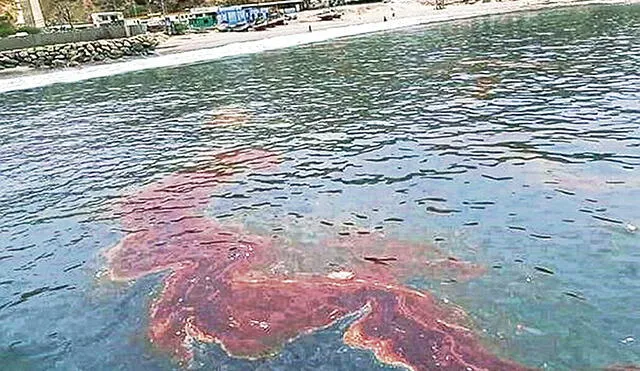 Derrame de crudo de petróleo contamina playa de Cabo Blanco en Talara