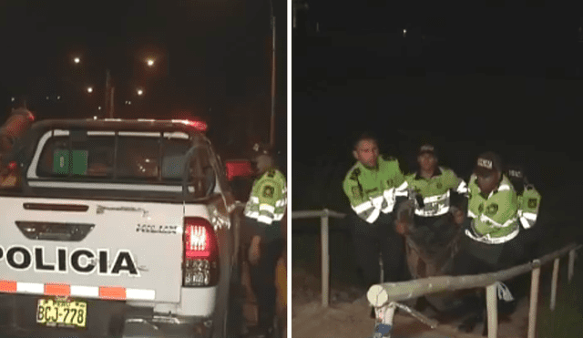 Barranco: hombre reportado como desaparecido fue hallado sin vida en playa Los Yauyos | PNP. Foto: composición LR/capturas de TV Perú