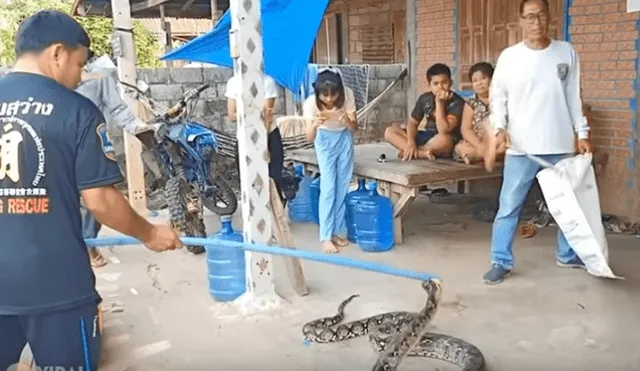 Desliza hacia la izquierda para ver el espeluznante hallazgo en Tailandia. Imágenes virales de YouTube.
