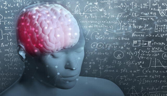 El cerebro y sus secretos: en 2019, los científicos sugirieron que la sustitución del pensamiento es mejor que la supresión | Foto: Difusión / Referencial