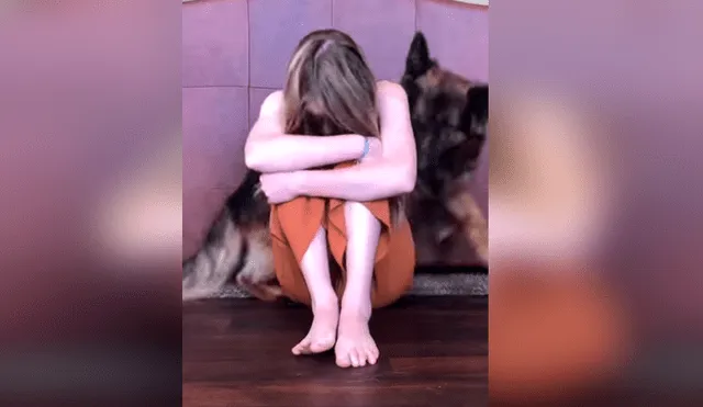Facebook viral: Chica finge estar devastada y esto es lo que hacen sus perros para animarla [VIDEO]