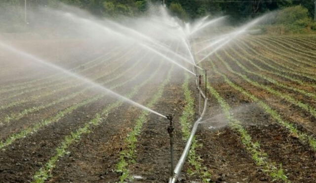 El 2050 para producir suficientes alimentos se necesitará 35% más agua, alerta la FAO