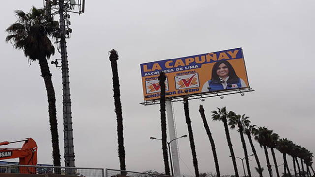 Elecciones 2018: acusan a Esther Capuñay de cortar palmeras para colocar propaganda política