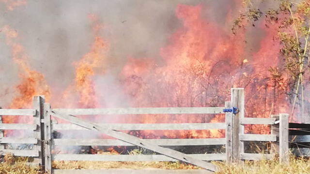 COER atendió este sábado seis incendios forestales en Iñapari, Iberia, Tampopata, Laberinto e Inambari. (Foto: Alcaldía de Iñapari)