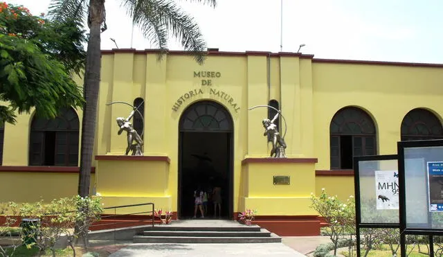 Museo de Historia Natural de San Marcos.