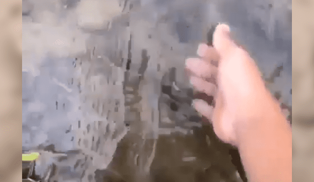 Facebook viral: Poblador encuentra pez 'moribundo' en la tierra, lo agarra y sucede lo impensado [VIDEO]