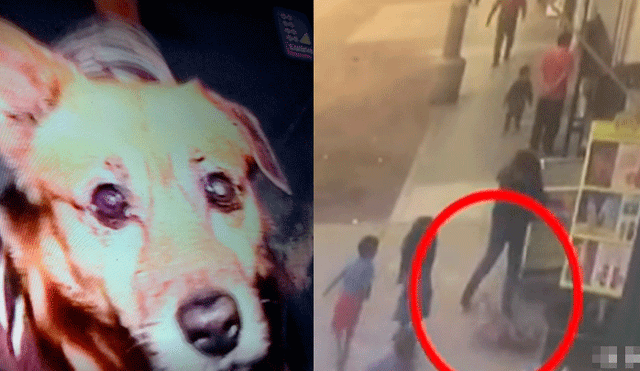 SMP: sujeto ataca a palazos a un perro delante de su menor hijo [VIDEO]