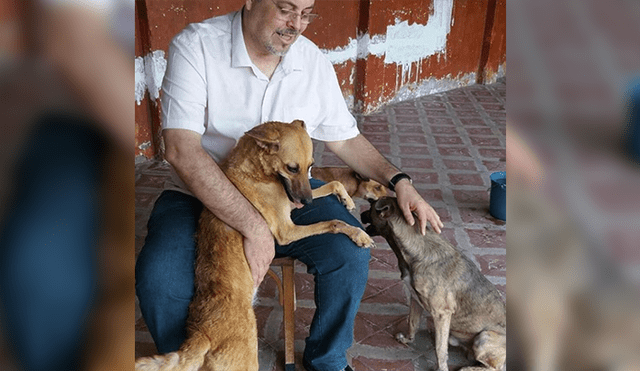 Brasil: Sacerdote realiza misa acompañados de perros para una noble misión [FOTOS]