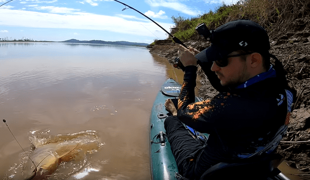 Videos de pesca con muchos peces