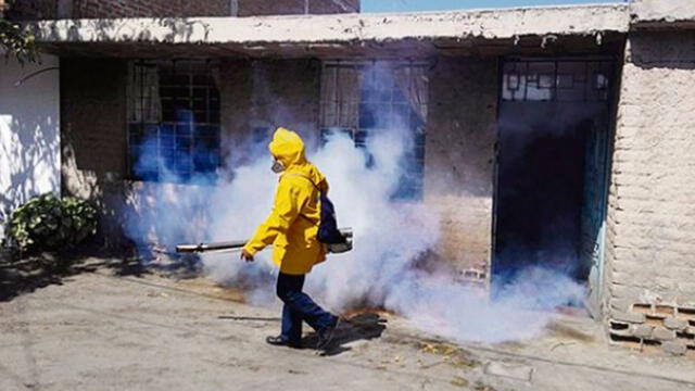 Lambayeque: en 22 distritos existe presencia del vector del dengue 