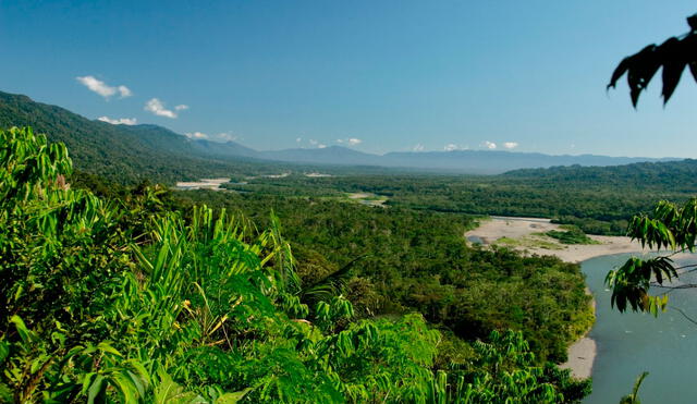 Parque Nacional del Manu es una de las zonas afectadas por el cambio climático y la actividad antropogénica. Foto: Concytec