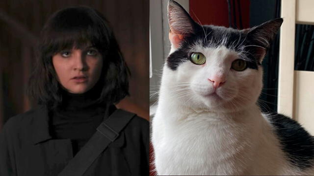 Así se verían los personajes de Dark si fueran gatitos. (Foto: Captura - Twitter: @NetflixLAT)