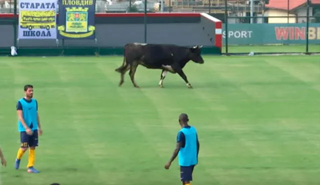 YouTube: vaca invade campo en pleno partido de fútbol y asusta a los jugadores 