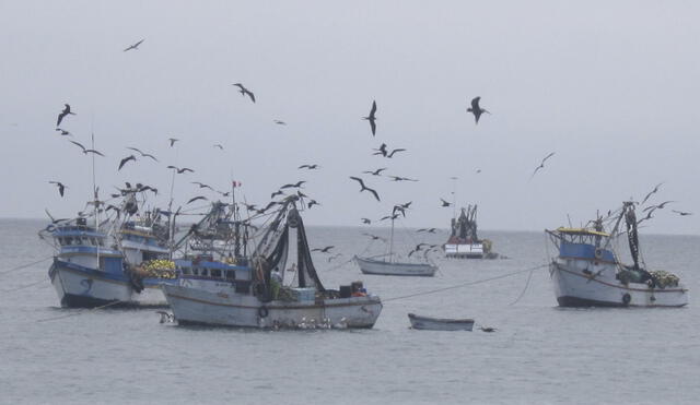 Los pescadores artesanales señalan que no tienen logística para mejorar su producción.