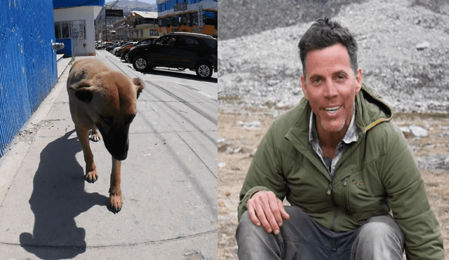Facebook: Steve-O conoció a perrita callejera en Perú y tuvo aplaudida acción [VIDEO]
