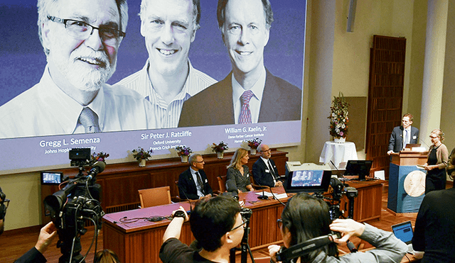 Nobel de Medicina 2019 abre caminos en la lucha contra anemia y cáncer