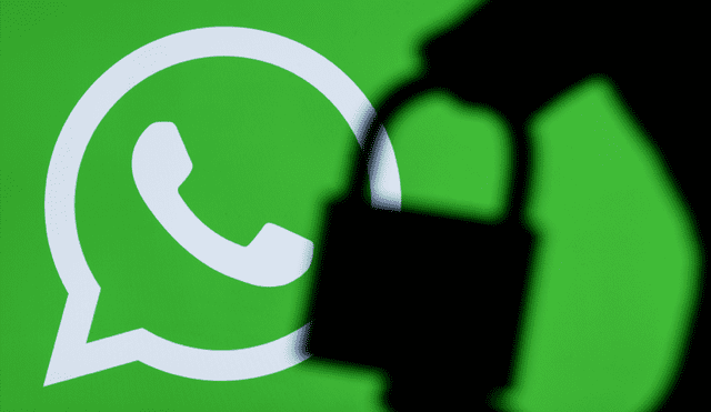 WhatsApp informará periódicamente sobre las vulnerabilidades que encuentre en su plataforma. | Foto: Ink Drop