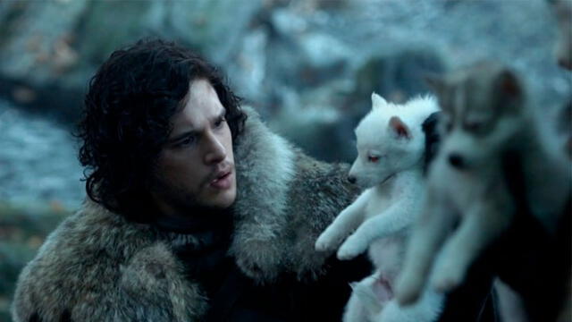 Game of Thrones: ¿Cuál es el origen de los nombres de los lobos huargo de la casa Stark?
