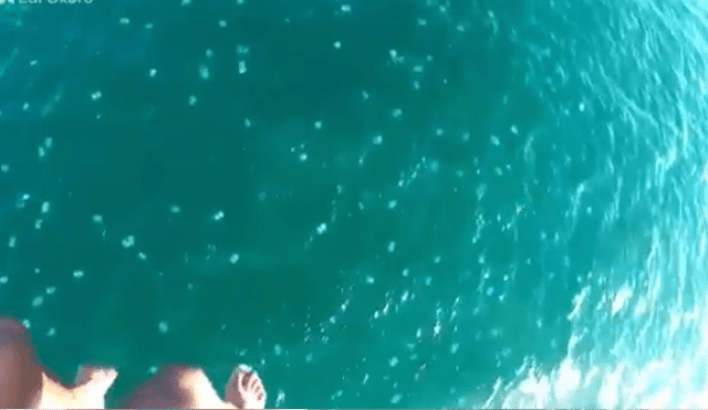 El video viral de Facebook muestra el momento en que los turistas se toparon con las venenosas criaturas que estaban dentro del mar.