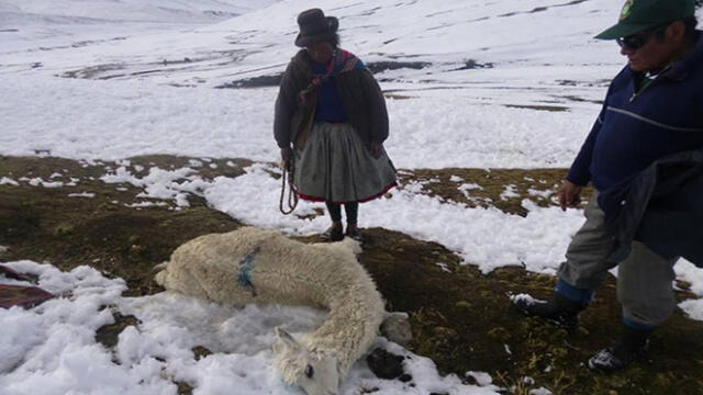 Región Cusco se alista para afrontar heladas y friaje con S/ 1 millón 200 mil