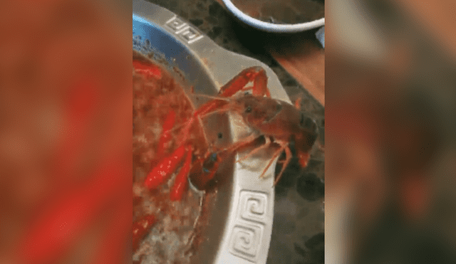Facebook Viral: La conmovedora lucha de un cangrejo para no ser cocinado [VIDEO]