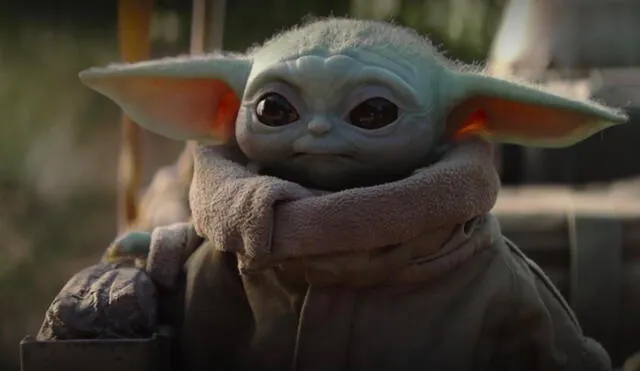 Yoda bebé