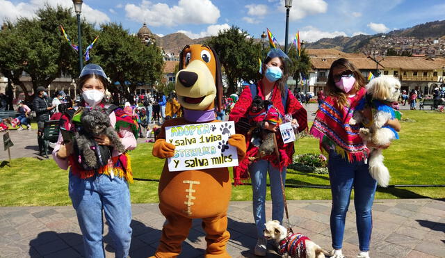 Cusco: mascotas participaron en pasacalle canino y lucieron trajes típicos