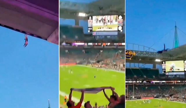 Este hecho sucedió en un estadio de Estados Unidos. Foto: composición LR / Instagram / @catsloveraddicted