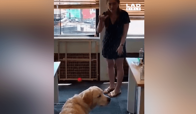 El video viral de Facebook en que se aprecia a una joven sorda enseñando a su perro sordo el indispensable lenguaje de señas para comunicarse, ha enternecido al mundo.