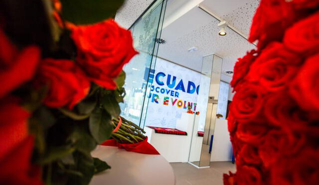 San Valentín: Ecuador exportará 18.000 toneladas de flores por el día del amor