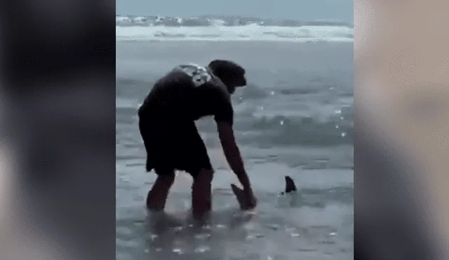 Facebook viral: encuentra tiburón varado en la playa, lo regresa al mar y este revive de forma milagrosa