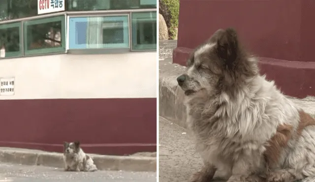 Desliza para ver detalles de esta historia que se viralizó en Facebook. Foto: Captura.