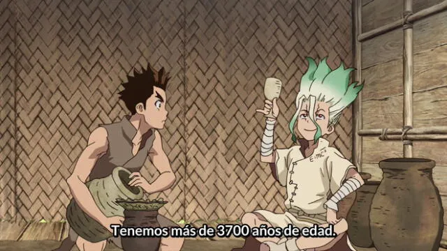 Dr. Stone