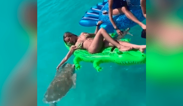 Facebook viral: joven fue atacada por tortuga marina y quedó aterrada [VIDEO] 