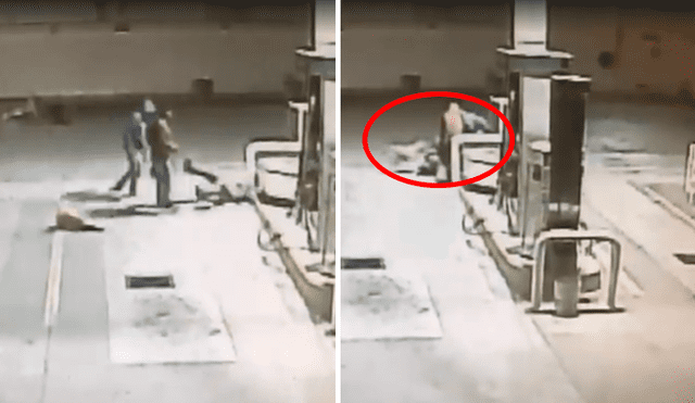 Perro callejero se convierte en héroe al salvar a trabajador de asalto en gasolinera de México [VIDEO]