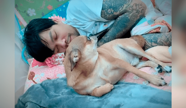 Video es viral en YouTube. Mujer grabó el agresivo comportamiento del perro cada vez que su esposo intentaba tocarla mientras dormía con los dos